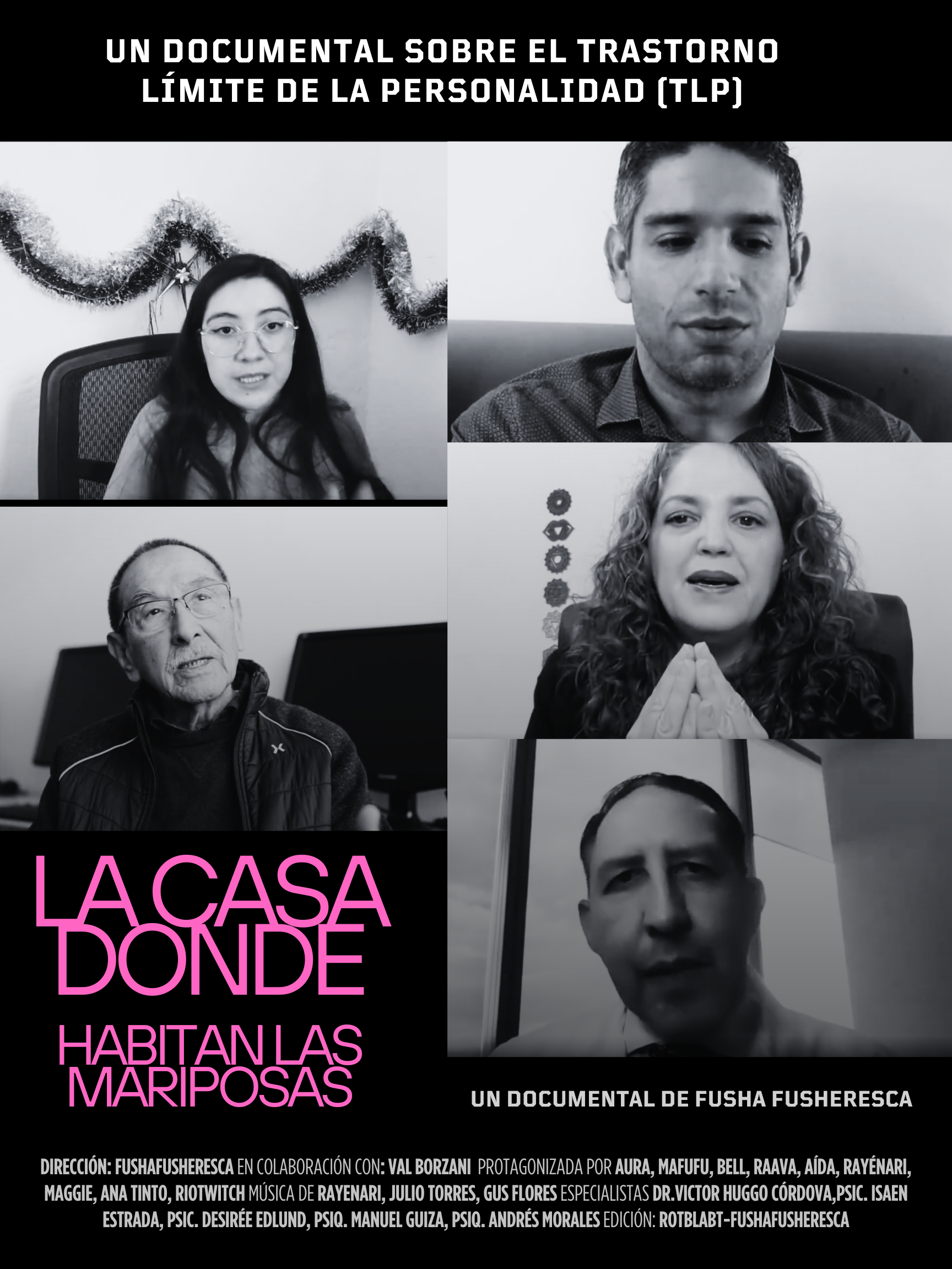 Bundle «Los especialistas» · 5 videos